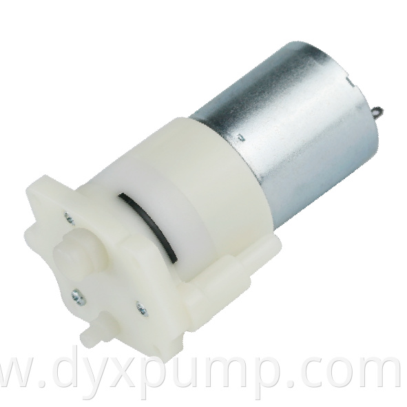 DSB413-G-4 mini water pump